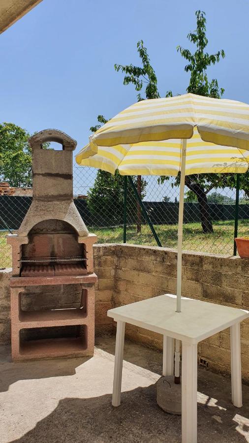 Casa Ciuffina Bed & Breakfast Civitella Casanova Exterior photo