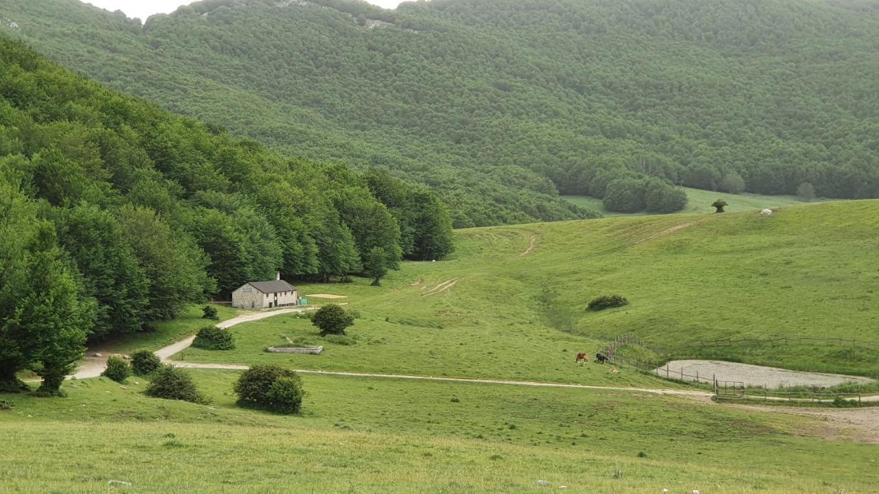 Casa Ciuffina Bed & Breakfast Civitella Casanova Exterior photo